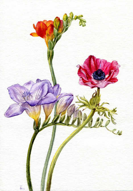 Jenny Thalheim Jenny Thalheim